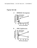 PERFORIN 2 DEFENSE AGAINST INVASIVE AND MULTIDRUG RESISTANT PATHOGENS diagram and image