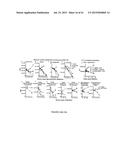 PERFORIN 2 DEFENSE AGAINST INVASIVE AND MULTIDRUG RESISTANT PATHOGENS diagram and image