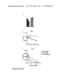 PERFORIN 2 DEFENSE AGAINST INVASIVE AND MULTIDRUG RESISTANT PATHOGENS diagram and image