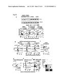 PERFORIN 2 DEFENSE AGAINST INVASIVE AND MULTIDRUG RESISTANT PATHOGENS diagram and image