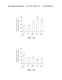 Chinese Herbal Aqueous Extract Having Anti-Anxiety Activities and Method     of In Vitro Evaluating the Same diagram and image