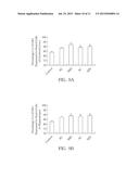 Chinese Herbal Aqueous Extract Having Anti-Anxiety Activities and Method     of In Vitro Evaluating the Same diagram and image