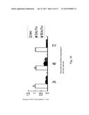 Human Hepatoma Cell Line HLCZ01 and Uses Thereof diagram and image