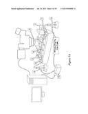 METHODS TO DETERMINE FLUID FILTRATION RATES THROUGH MAMMALIAN LUMINAL     ORGANS diagram and image