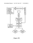 METHODS TO DETERMINE FLUID FILTRATION RATES THROUGH MAMMALIAN LUMINAL     ORGANS diagram and image