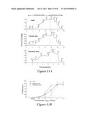 METHODS TO DETERMINE FLUID FILTRATION RATES THROUGH MAMMALIAN LUMINAL     ORGANS diagram and image