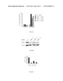 METHOD OF SELECTING INDIVIDUALIZED BRAIN CANCER THERAPY diagram and image