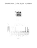 METHOD OF SELECTING INDIVIDUALIZED BRAIN CANCER THERAPY diagram and image