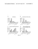 HUMAN MYELOID DERIVED SUPPRESSOR CELL CANCER MARKERS diagram and image