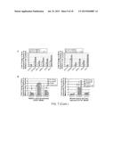 HUMAN MYELOID DERIVED SUPPRESSOR CELL CANCER MARKERS diagram and image