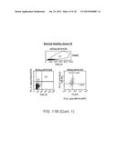 HUMAN MYELOID DERIVED SUPPRESSOR CELL CANCER MARKERS diagram and image