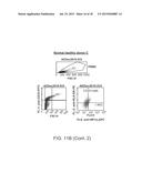 HUMAN MYELOID DERIVED SUPPRESSOR CELL CANCER MARKERS diagram and image