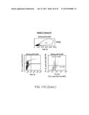 HUMAN MYELOID DERIVED SUPPRESSOR CELL CANCER MARKERS diagram and image