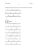 HUMAN MYELOID DERIVED SUPPRESSOR CELL CANCER MARKERS diagram and image