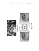 UNIFIED OPTIMIZATION METHOD FOR END-TO-END CAMERA IMAGE PROCESSING FOR     TRANSLATING A SENSOR CAPTURED IMAGE TO A DISPLAY IMAGE diagram and image