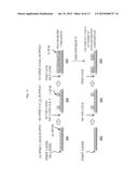 METHOD OF MANUFACTURING SEMICONDUCTOR DEVICE AND SUBSTRATE PROCESSING     APPARATUS diagram and image