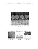BACK SURFACE FIELD FORMATION IN SILICON MICROSPHERES IN A PHOTOVOLTAIC     PANEL diagram and image