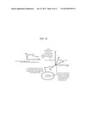 SPECTRAL IMAGE PROCESSING METHOD, SPECTRAL IMAGE PROCESSING DEVICE, AND     PROGRAM diagram and image