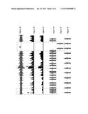 ADAPTING TURN SIGNAL diagram and image