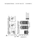 GENETICALLY MODIFIED NON-HUMAN ANIMALS AND METHODS OF USE THEREOF diagram and image