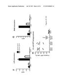 GENETICALLY MODIFIED NON-HUMAN ANIMALS AND METHODS OF USE THEREOF diagram and image