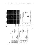 GENETICALLY MODIFIED NON-HUMAN ANIMALS AND METHODS OF USE THEREOF diagram and image