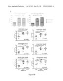 GENETICALLY MODIFIED NON-HUMAN ANIMALS AND METHODS OF USE THEREOF diagram and image