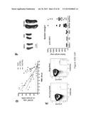 GENETICALLY MODIFIED NON-HUMAN ANIMALS AND METHODS OF USE THEREOF diagram and image