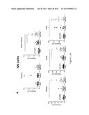 GENETICALLY MODIFIED NON-HUMAN ANIMALS AND METHODS OF USE THEREOF diagram and image