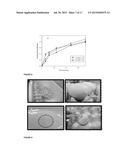 Fast Dissolving Ocular Insert diagram and image