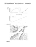 Fast Dissolving Ocular Insert diagram and image