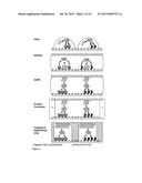 DEVICE AND METHOD FOR REAL-TIME DETECTION OF MOLECULAR ACCUMULATIONS     AND/OR MONITORING THE PRODUCTION PROCESS OF A MOLECULAR MICROARRAY diagram and image