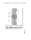 EMERGENCY VEHICLE LIGHT FIXTURE diagram and image