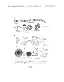 PARTICULATE DRUG DELIVERY METHODS diagram and image