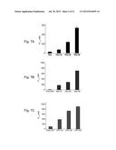 PARTICULATE DRUG DELIVERY METHODS diagram and image