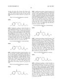 PARTICULATE DRUG DELIVERY METHODS diagram and image