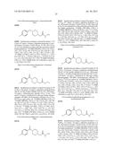 PARTICULATE DRUG DELIVERY METHODS diagram and image