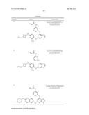 NOVEL PYRROLOPYRIMIDINE COMPOUNDS AS INHIBITORS OF PROTEIN KINASES diagram and image