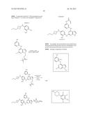 NOVEL PYRROLOPYRIMIDINE COMPOUNDS AS INHIBITORS OF PROTEIN KINASES diagram and image