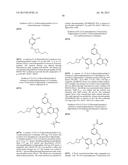 NOVEL PYRROLOPYRIMIDINE COMPOUNDS AS INHIBITORS OF PROTEIN KINASES diagram and image