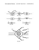 COMPOSITE LIQUID CELLS diagram and image