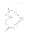 FUSION NANO LIPOSOME-FLUORESCENCE LABELED NUCLEIC ACID FOR IN VIVO     APPLICATION, USES THEREOF AND PREPARATION METHOD THEREOF diagram and image