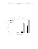 FUSION NANO LIPOSOME-FLUORESCENCE LABELED NUCLEIC ACID FOR IN VIVO     APPLICATION, USES THEREOF AND PREPARATION METHOD THEREOF diagram and image