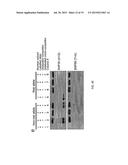 NEUROPSYCHIATRIC DISORDER-ASSOCIATED MUTATIONS AND USES THEREOF diagram and image