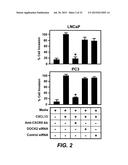 DETECTING CANCER WITH ANTI-CXCL13 AND ANTI-CXCR5 ANTIBODIES diagram and image