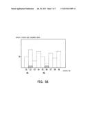 IMAGE CAPTURING DEVICE AND METHOD FOR CALIBRATING IMAGE DEFORMATION     THEREOF diagram and image