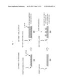 METHOD OF MANUFACTURING SEMICONDUCTOR DEVICE AND SUBSTRATE PROCESSING     APPARATUS diagram and image