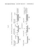 METHOD OF MANUFACTURING SEMICONDUCTOR DEVICE AND SUBSTRATE PROCESSING     APPARATUS diagram and image