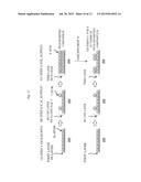 METHOD OF MANUFACTURING SEMICONDUCTOR DEVICE AND SUBSTRATE PROCESSING     APPARATUS diagram and image