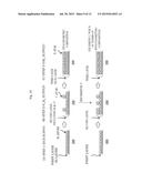 METHOD OF MANUFACTURING SEMICONDUCTOR DEVICE AND SUBSTRATE PROCESSING     APPARATUS diagram and image